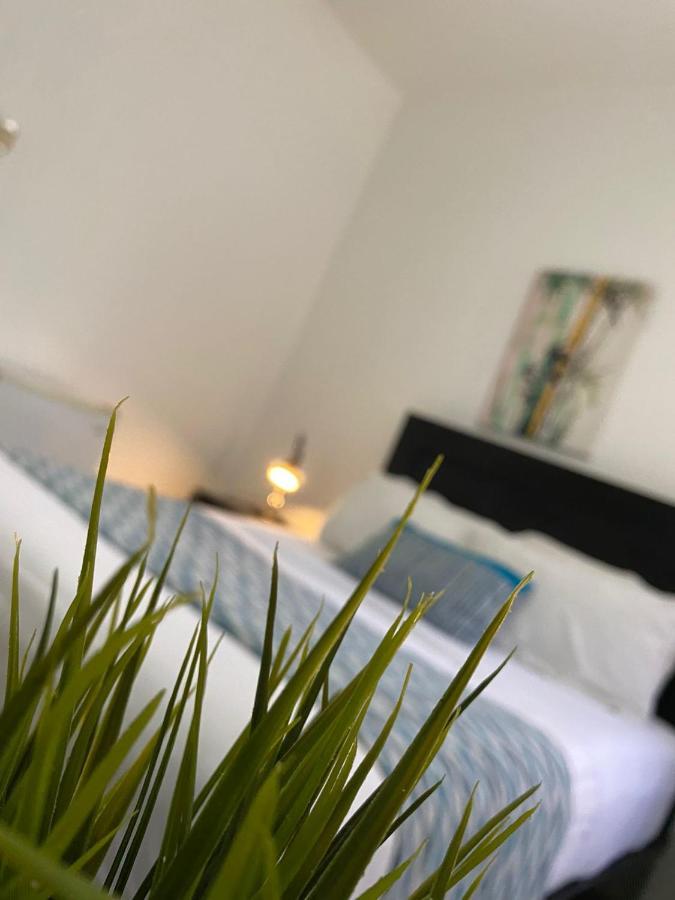 Hotel Rig Casa Conde Santo Domingo Zewnętrze zdjęcie
